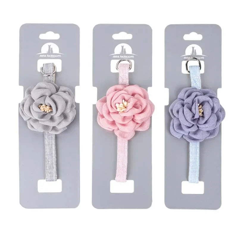 Pet Apparel & Accessories