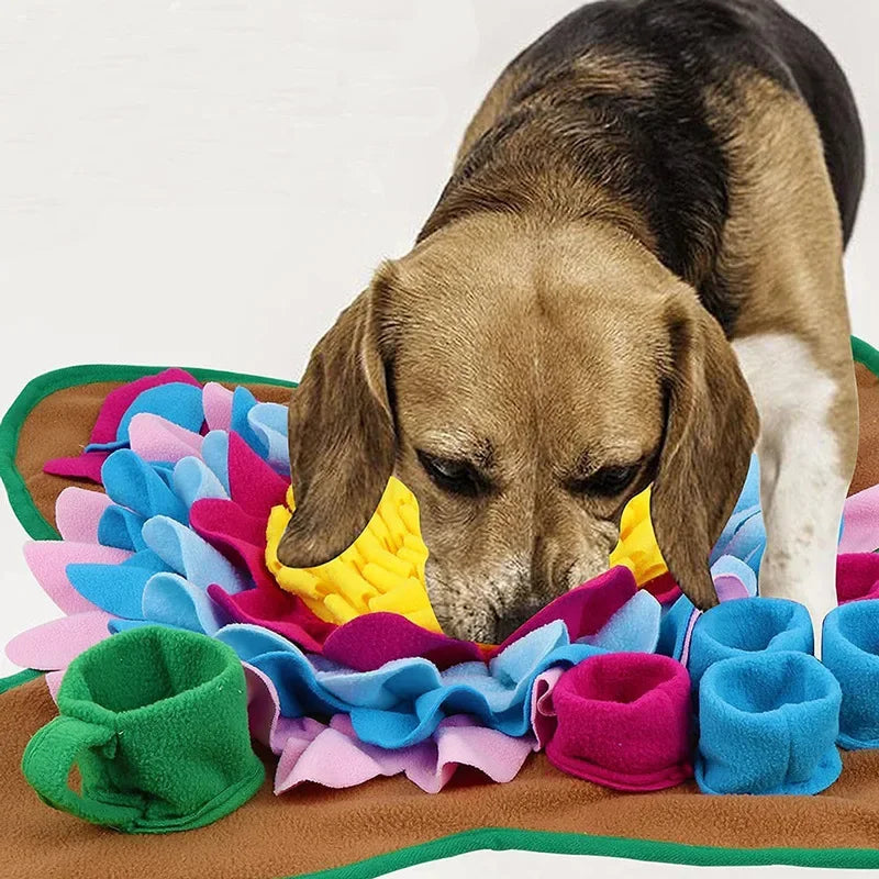 Colourful Snuffle Mat
