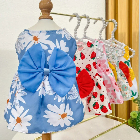 Cute Summer Dresses