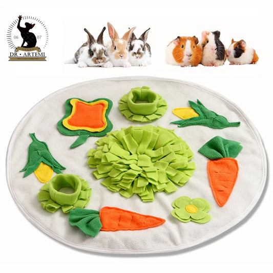 Fruit and Veggie Theme Snuffle Mat