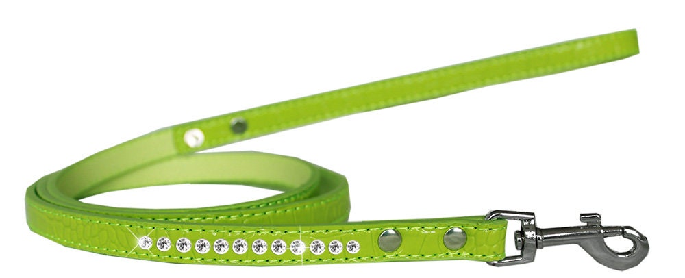 Designer Pet Leash