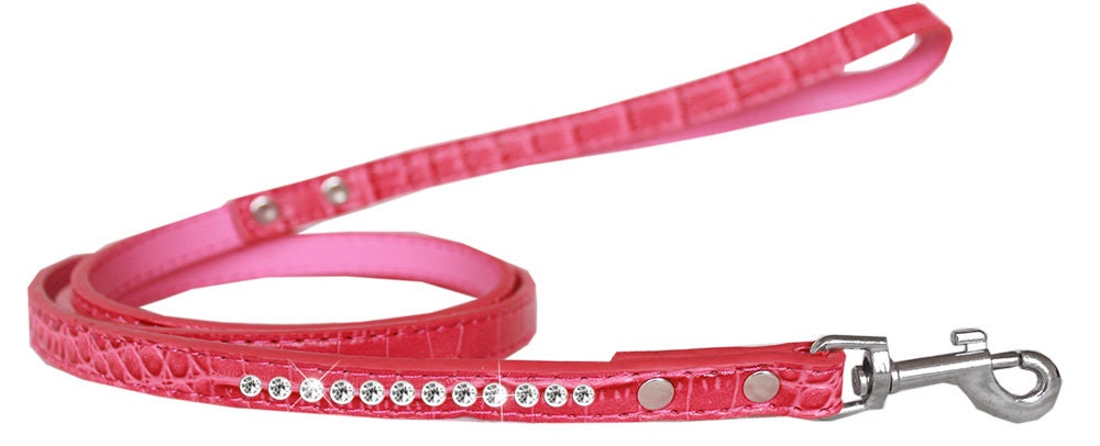 Designer Pet Leash