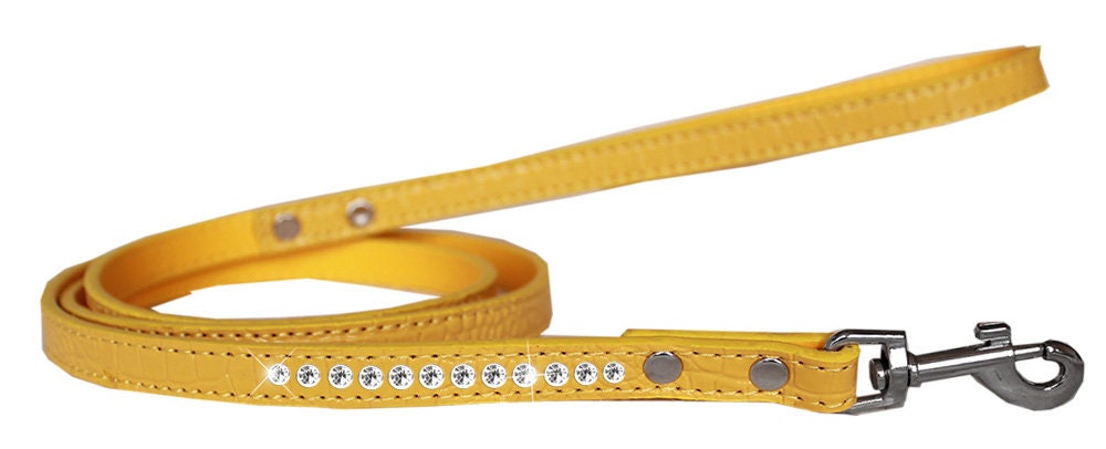 Designer Pet Leash
