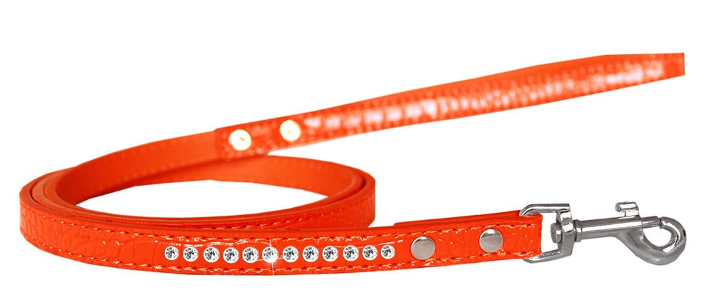 Designer Pet Leash